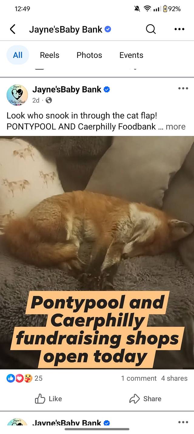 Post using stolen fox image