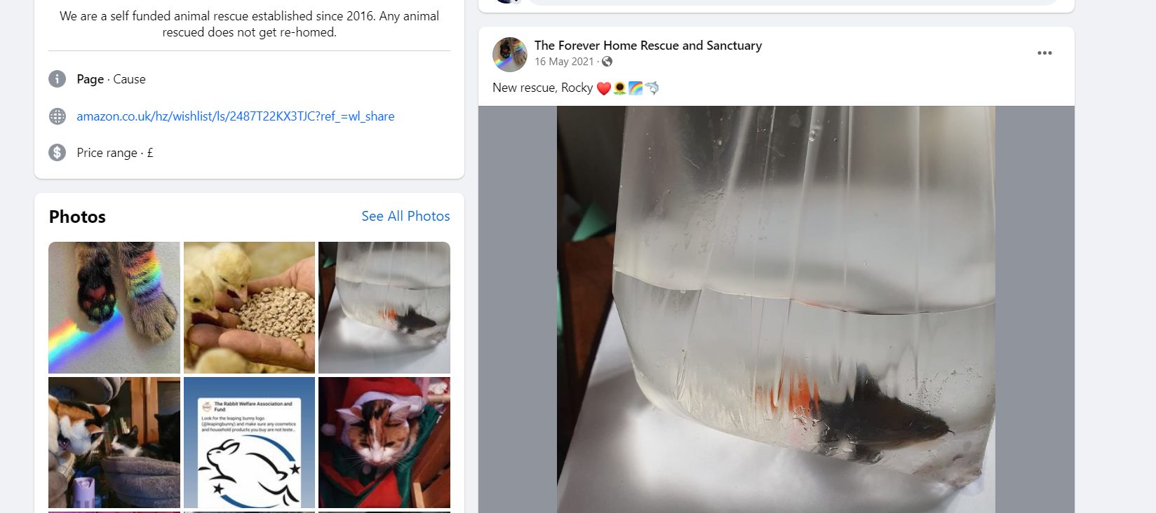 Historic rescue branding screenshot showing 'self funded… since 2016' and 'does not get re-homed', alongside a fish-in-bag photo post.